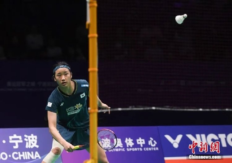 价格上无疑 价格上无疑